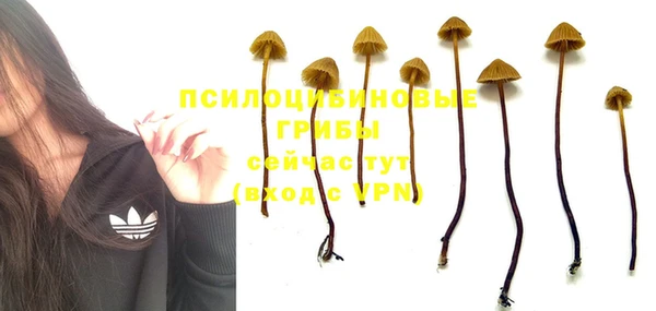 кокс Нея