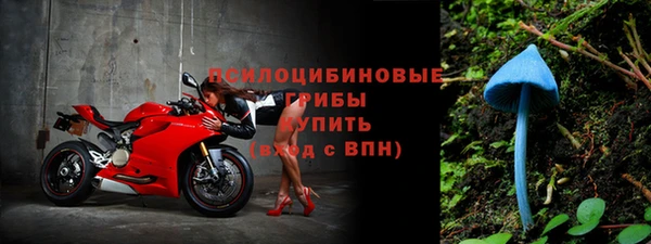 ECSTASY Новозыбков