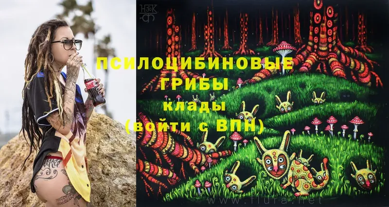 Псилоцибиновые грибы Psilocybine cubensis  купить  цена  Орлов 