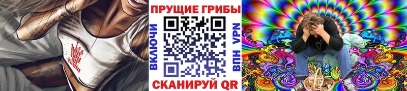 кракен зеркало  Орлов  Псилоцибиновые грибы мицелий 